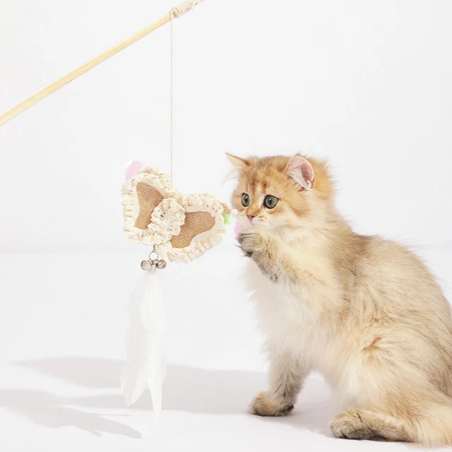 Chaton Drôle Teaser  Léger Chat Jouet pour Animaux de Compagnie pour