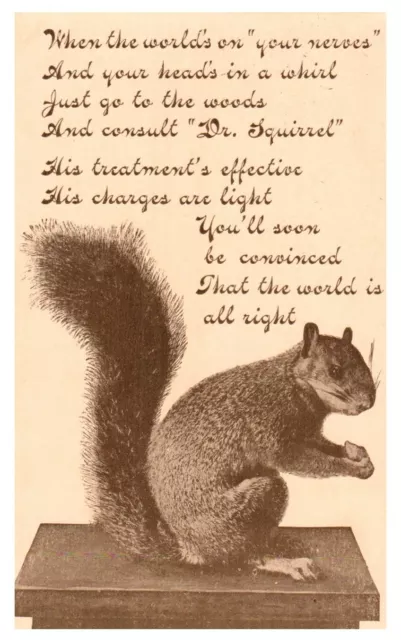 Early Postcard c1910 Squirrel w/ Feel Good Poem From Daddy