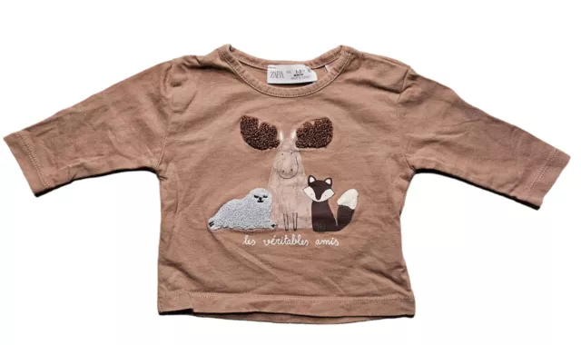 Dolce Bambino Maniche Lunghe Animale Maglietta Di Zara Taglia 1-3M 62