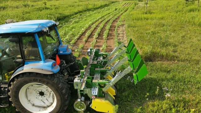 Green Earth 3Row Inner-Row Tiller,Cultivator CS3075: Herbicide Free Weed Control