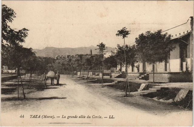 CPA AK TAZA La grande allée du Cercle MAROC (23633)