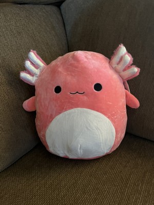 archie squish