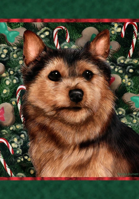 Christmas Holiday Garden Flag - Black and Tan Norwich Terrier