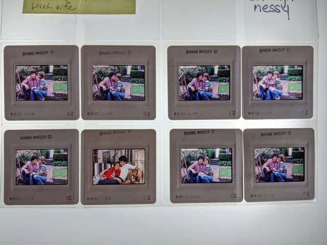 Dw4-498 Charles Shaughnessy Lot (8) 35Mm Orig Slide Via Dianna Whitley