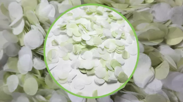 Biodegradable Wedding Tissue Paper Confetti - Willow Green and White