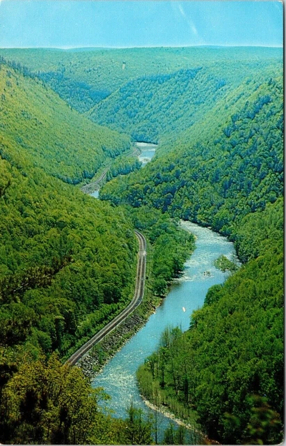 Pennsylvania's Grand Canyon From Lookout Leonard Harrison State Park Postcard