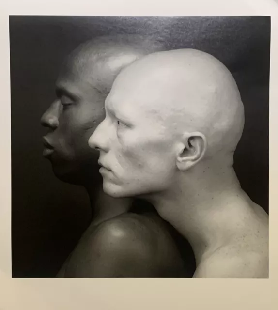 Robert Mapplethorpe Poster Kenn Moody Robert Sherman 1984 Print Large Photo