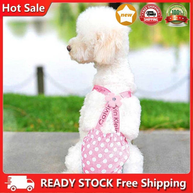 SOBW pañales para perro, pañales para perros, correa linda pantalones fisiológicos casa