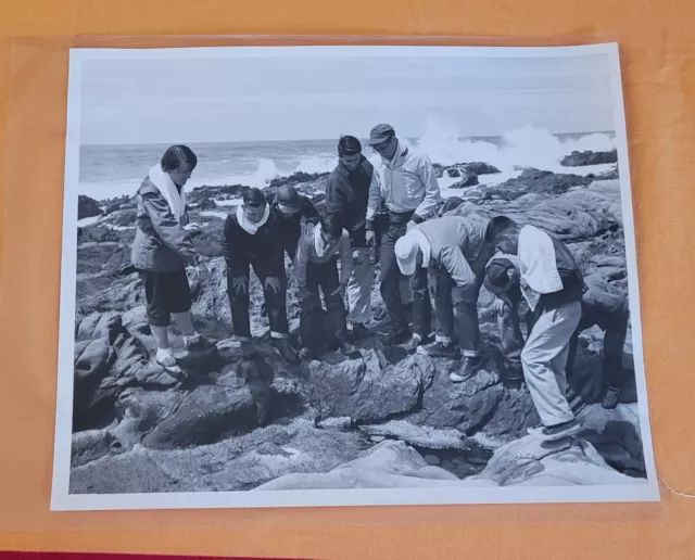 Vintage Ymca San Francisco Examiner Photo Original Fantastic Young Kids Adults