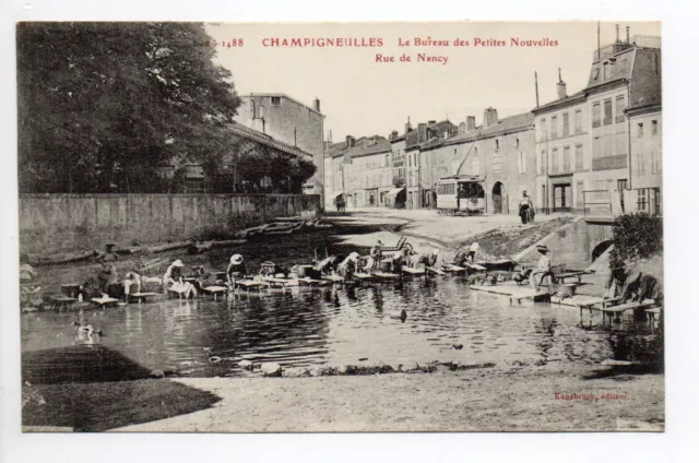 MUSHROOMS Meurthe & Moselle CPA 54 the office of small new wash