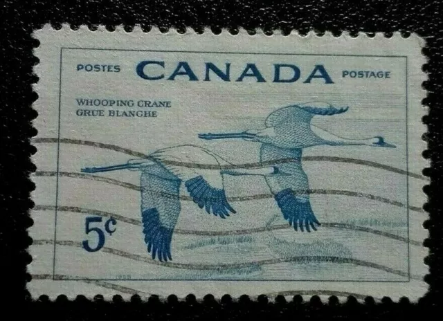 Canada:1955 National Wild Life Week 5 C. Rare & Collectible Stamp.