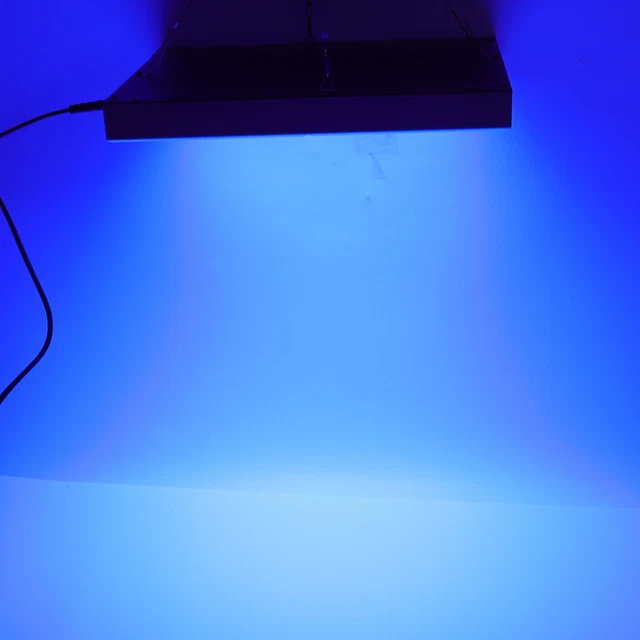 Lampe De Bronzage à LED Lampe De Bronzage EU 220V Avec Dispositif De Crochet