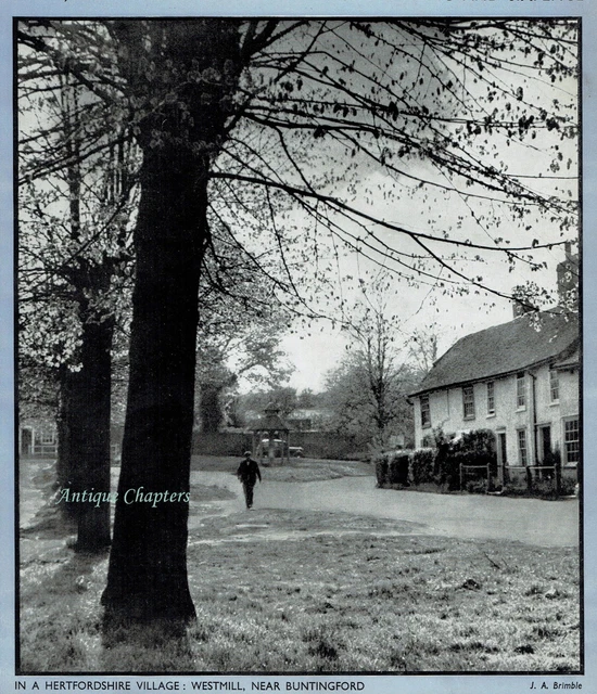 Westmill Hertfordshire 1946 Magazine Cover D457