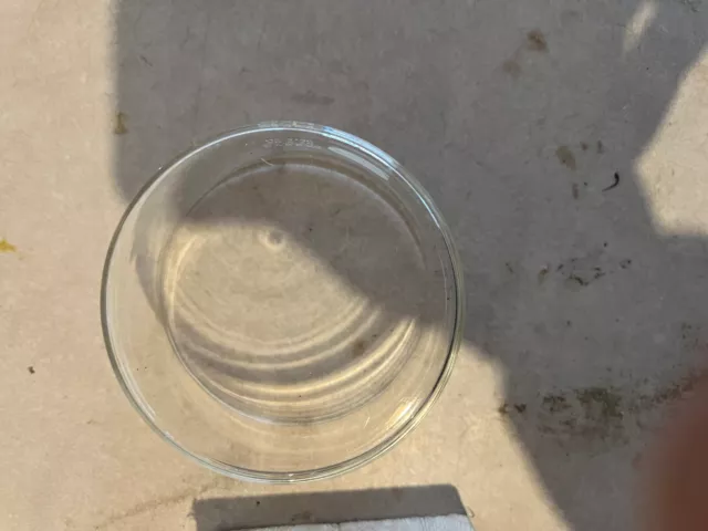 crystalizing dish