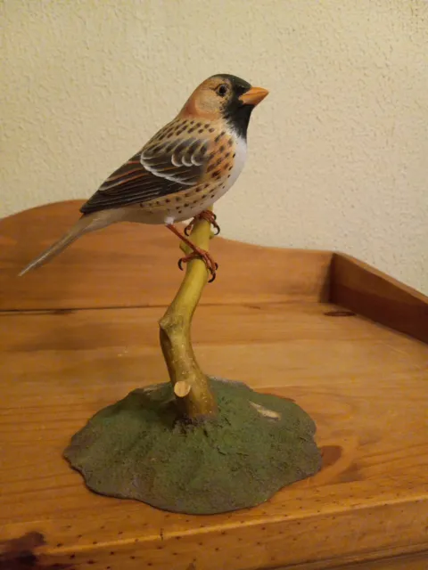 Hand Crafted Harris's Sparrow Wood Bird Figurine  Hummingbird Studios