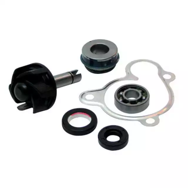 Revision Kit Pompe A Eau Yamaha Yp250 Majesty 250 1996-2003