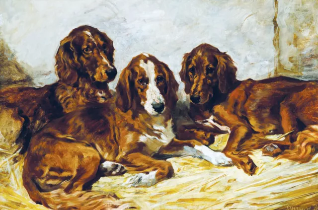 John Emms "Shot, His Friends" british dog red setter victorian Green Artwork