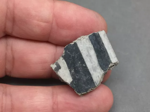 Southwest Ancient Indian Pottery Shard made into magnet Black & White 1 1/8"