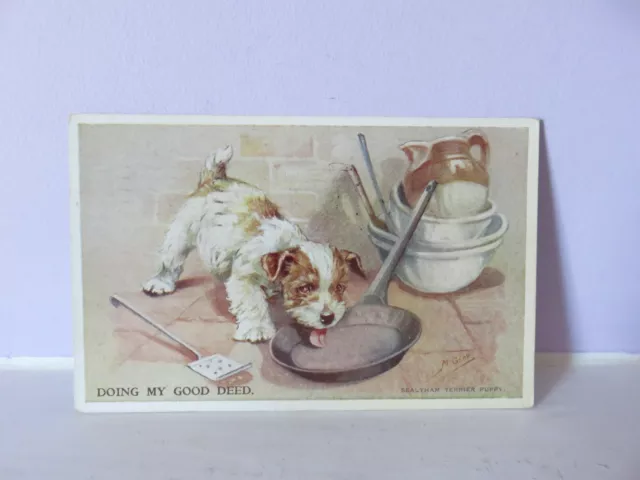 Vintage Valentines "Mabel Gear" postcard 4731 1954Doing My Good Deed dog