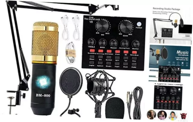 Podcast Equipment Bundle, BM-800 Recording Studio Package with Voice AM100-V8