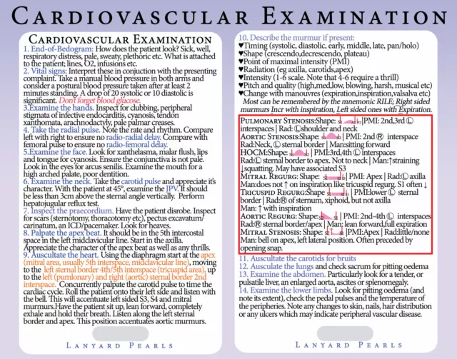 Cardiovascular Clinical Examination - Medical / Nursing Reference Lanyard Card