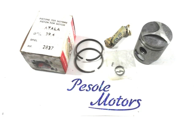 65 shop polini rizzato