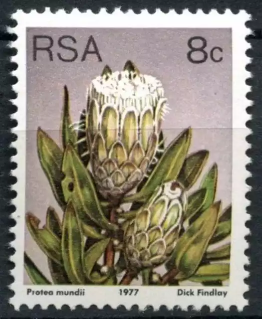 South Africa 1977-82 SG#421a 8c Proteas, Plants Definitive P14x13.5 MNH #E9010