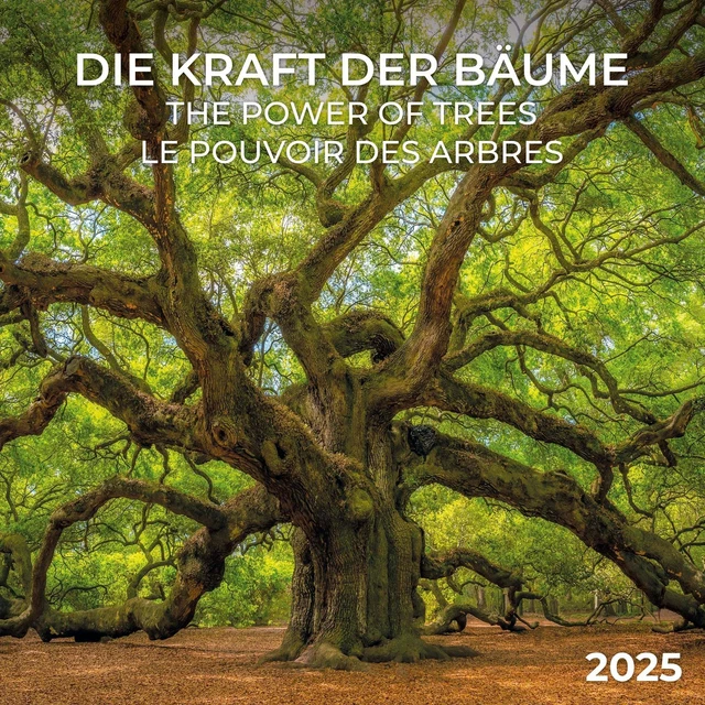 DIE KRAFT DER Bäume 2025 Kalender 2025 Kalender Artwork Edition 28 S. Englisch EUR 11,95