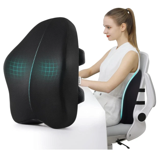 Villsure Lumbar Support Pillow, Memory Foam Back Cushion Pillow for Office Chair