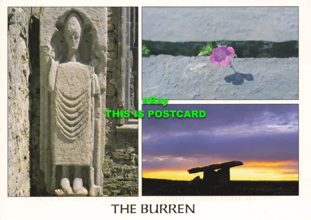 L212775 The Burren. Real Ireland Design. Multi View