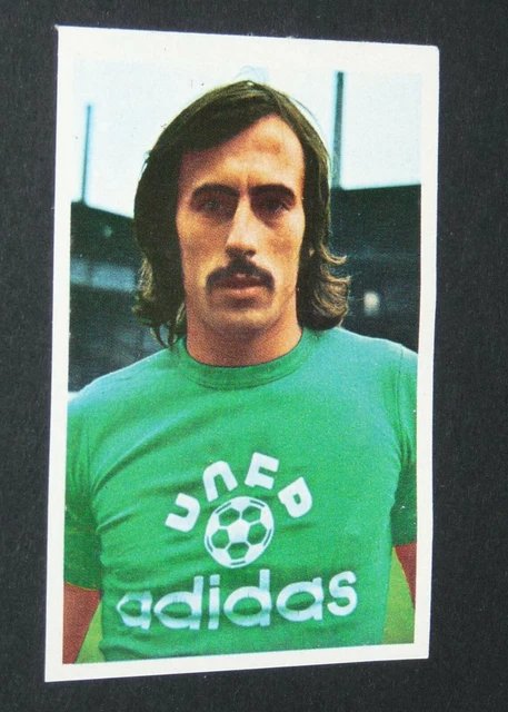 ASSE Saint Etienne 1976 (50 ans de la fabuleuse epopée) - Décoration