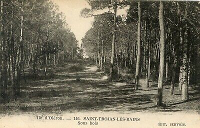 *23616 cpa Ile d'Oléron Forêt St Trojan 