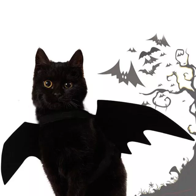 Lovely for small pet dog cat bat wings halloween wings halloween costume) F1