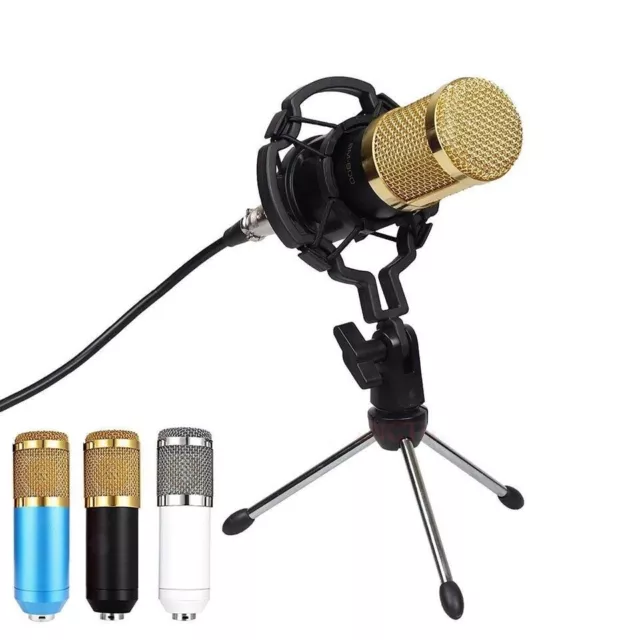 BM 800 Microphone Condenser Sound Singing Recording Microphone With Shock Mount