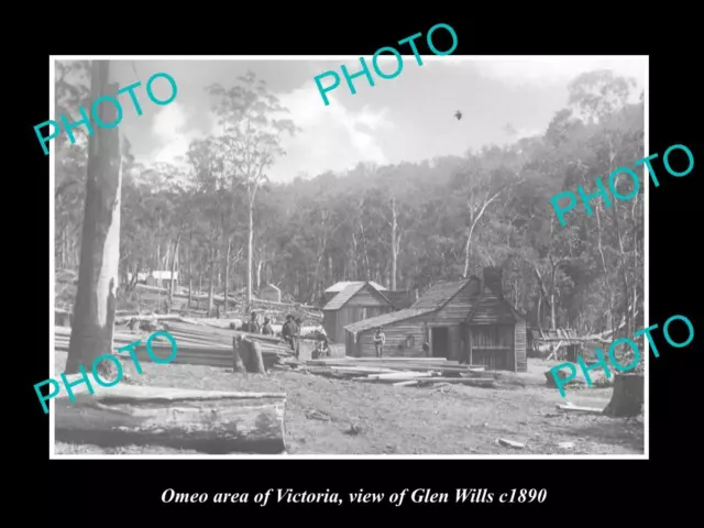 OLD LARGE HISTORIC PHOTO OF OMEO VICTORIA VIEW OF GLEN WILLS c1890