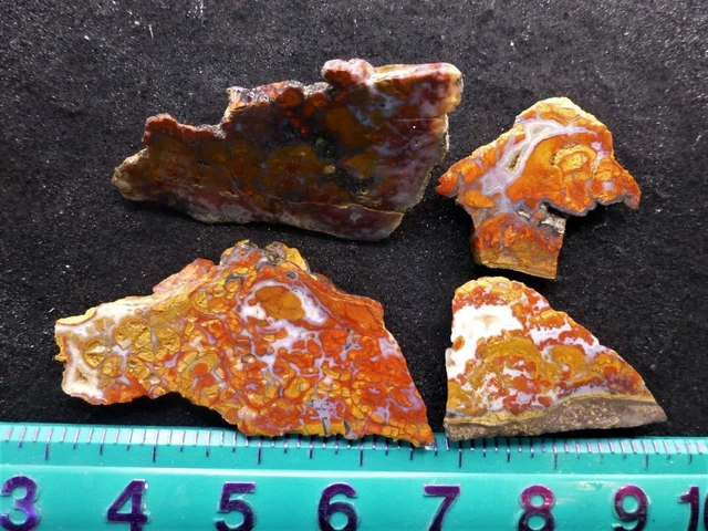 ORCA: Rare Wingate Pass or Death Valley Plume Agate Odds and Ends, California