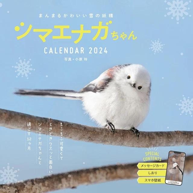 RUND SÜSSE SCHNEE Fairy ShimaenagaChan Kalender 2024 Impress