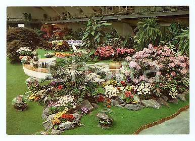 1961 TORINO Esposizione Internazionale FIORI DEL MONDO Cartolina VINTAGE FG NV