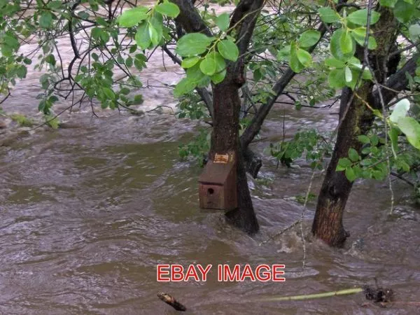 Photo  Bird Box During The Oughtibridge Flood In June 2007 See Also Picture Afte