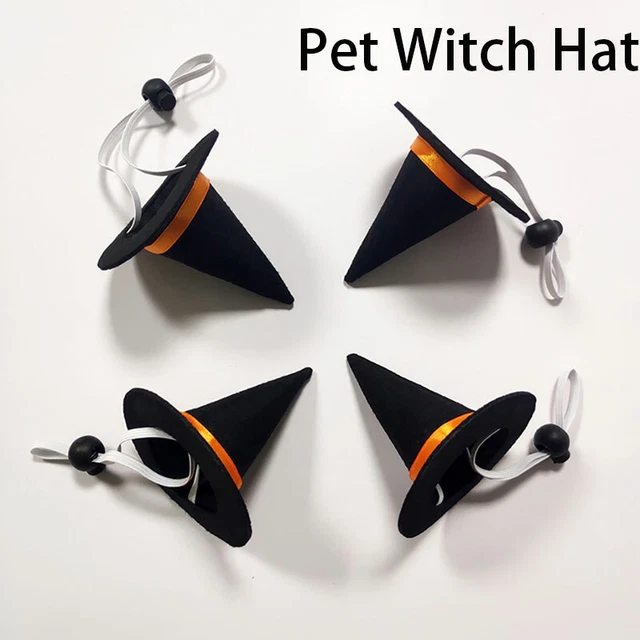 Costumi Halloween per animali domestici ragno zucca cappello-cane strega cappello per feste L*AH7