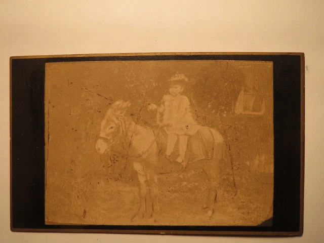Käte Blanke da bambina a cavallo? Asino? / CDV