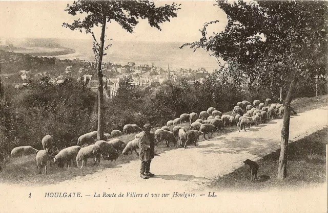 Carte Postale Houlgate La Route De Villers Et Vue Sur Houlgate