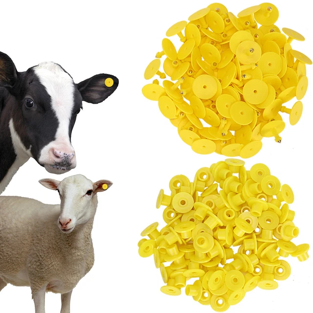 100pcs Animal Ear Tag Plastic Identification Card Anti Lost Marker For Farm Lhp