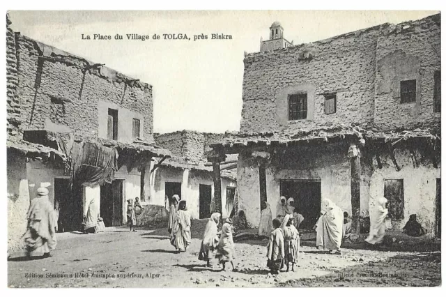 Tolga, Algeria / Alger vintage Postcard - general view