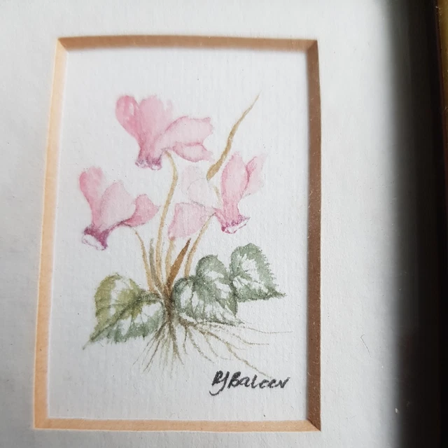 A PAIR OF Miniature Watercolour Painting by Rosemary J. Balcer