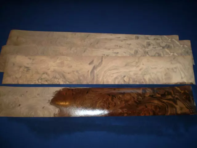 Nogal saramp chapa de fieltro recubierto 720 x 115 mm 5 hoja no 895