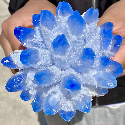 1.62lb New Find sky blue Phantom Quartz Crystal Cluster Mineral Specimen Healing