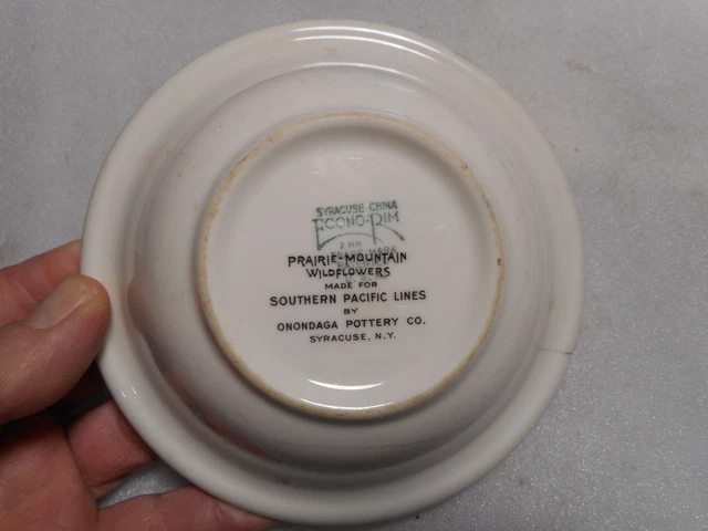 Syracuse Southern Pacific Railroad Prairie Mountain Wildflowers Bowl 6" Cracked 3