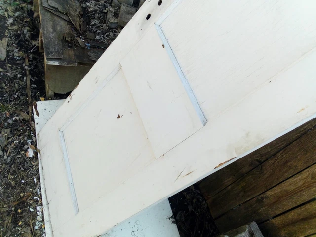 Antique Wood Closet Door / Pantry Door - 24 inches wide 4