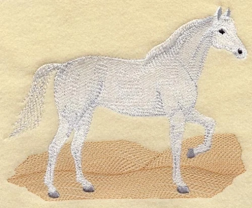 Embroidered Sweatshirt - Arabian Horse M1696 Sizes S - XXL